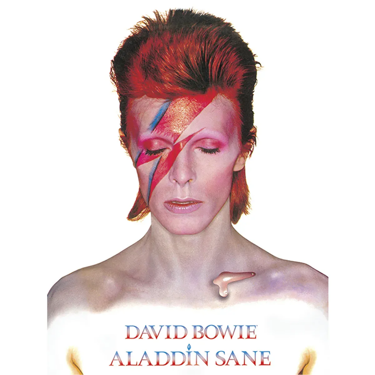 Aladdin Sane 60 x 80cm Canvas Print