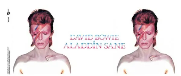 Aladdin Sane Mug