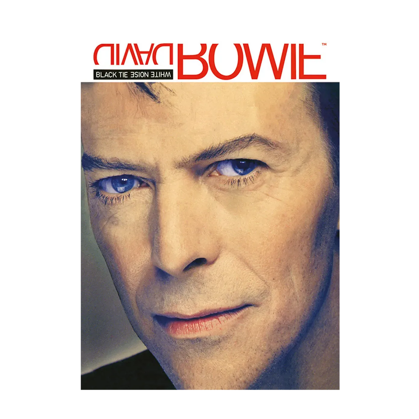 Black Tie White Noise Postcard