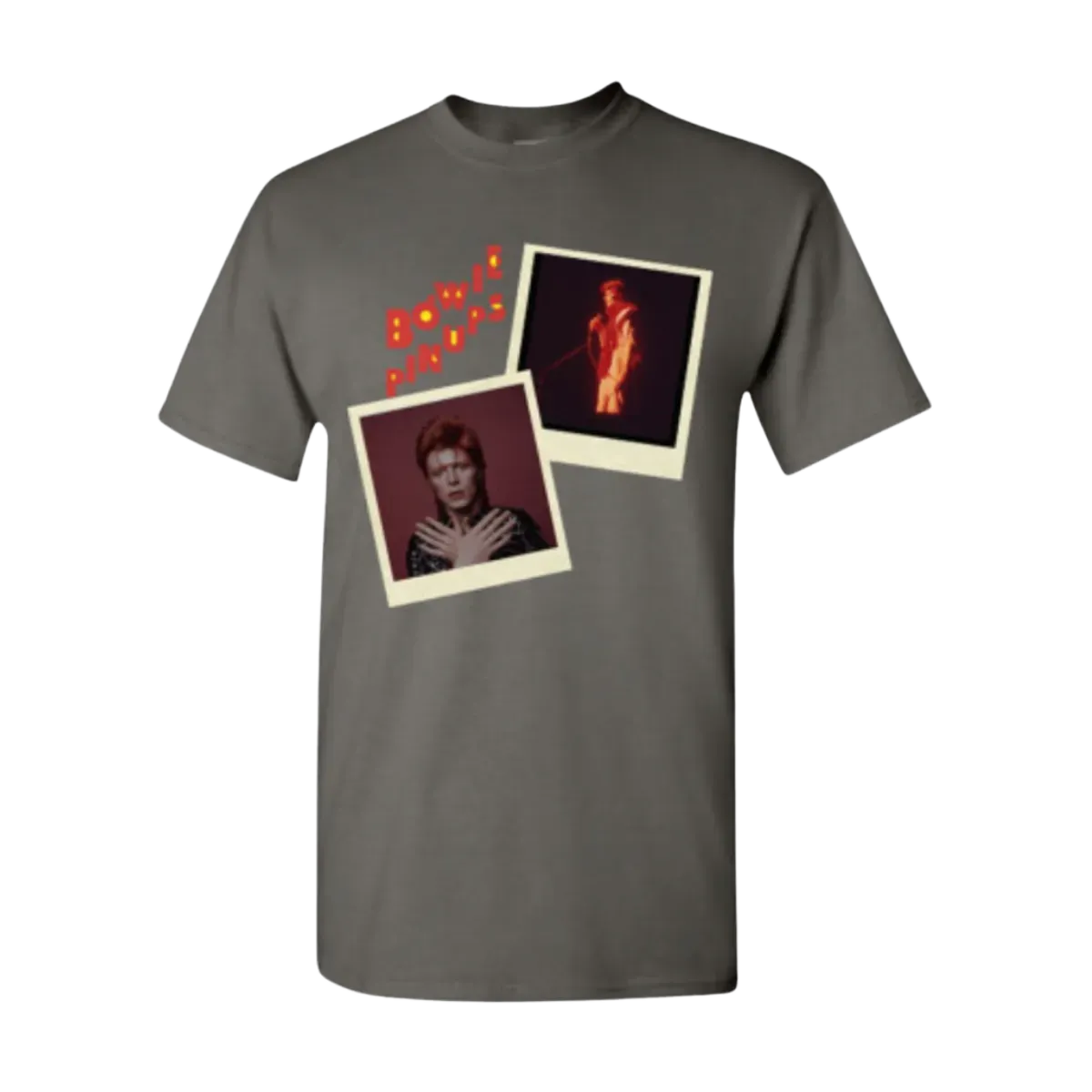 Pin Ups Polaroid Charcoal T-Shirt