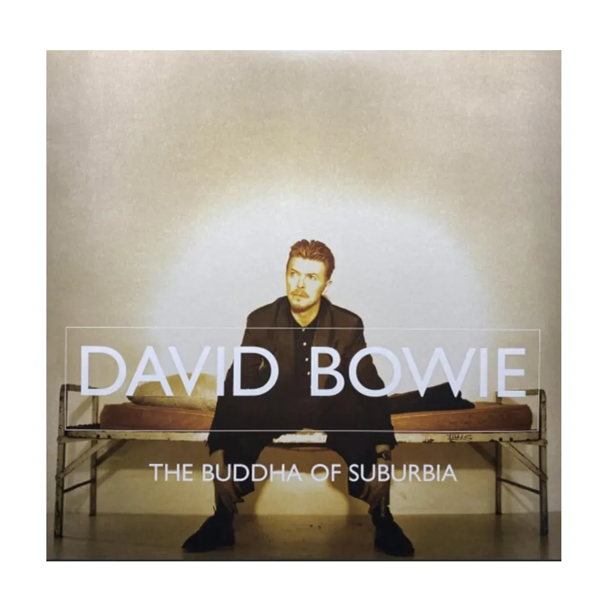 The Buddha of Suburbia CD