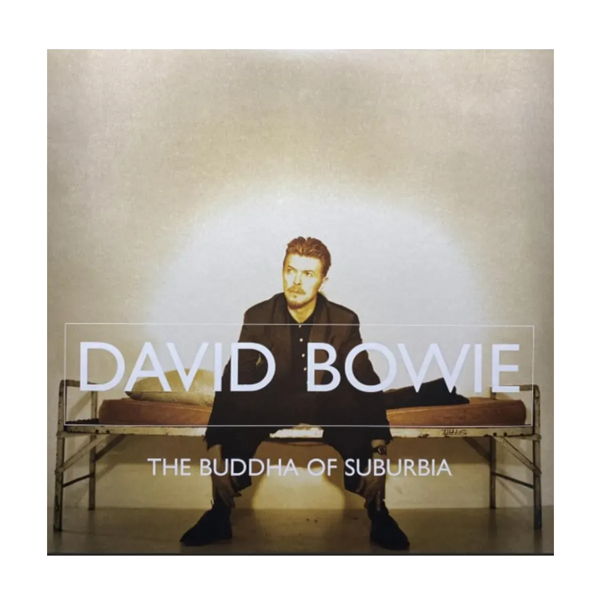 The Buddha of Suburbia Vinyl