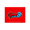 Bowie 80 Magnet