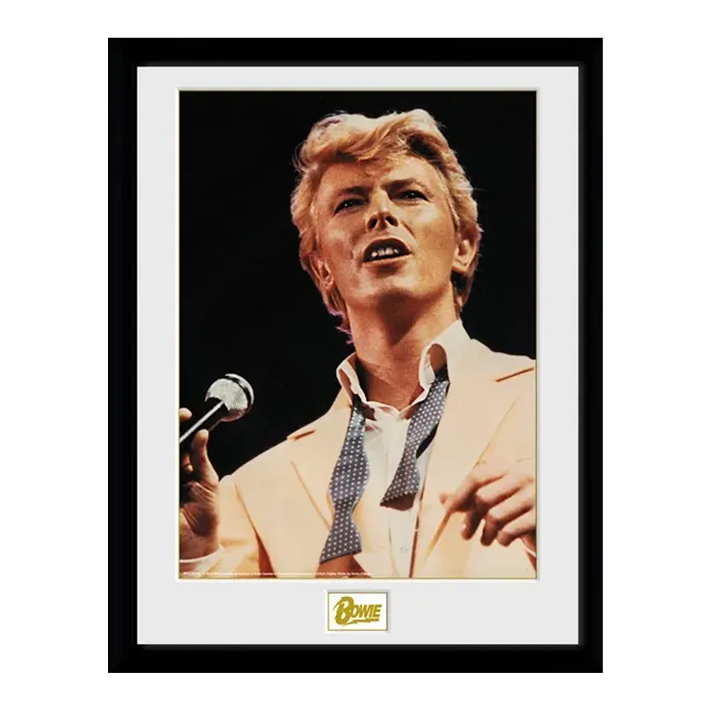 Bow Tie 12" x 16" Collector Print