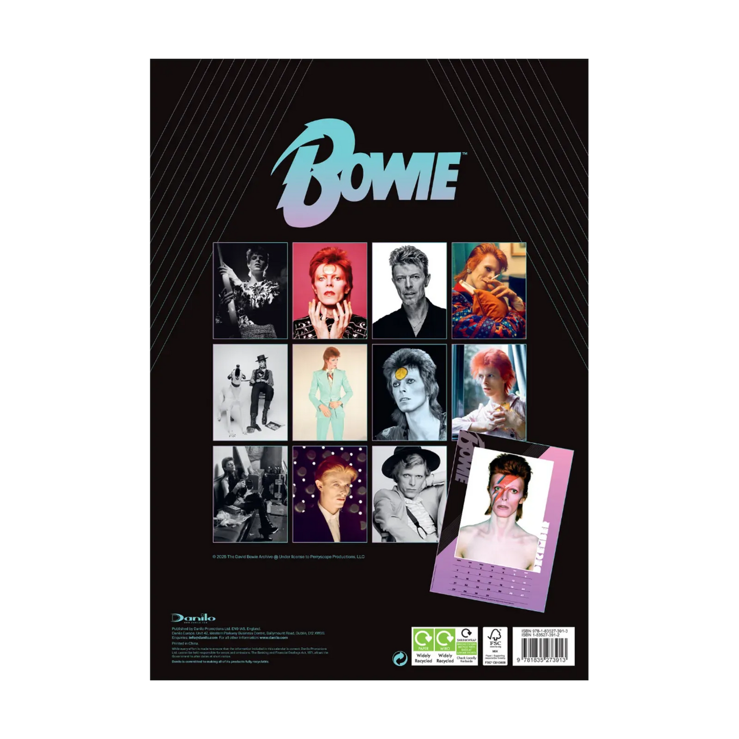 Bowie 16 Month A3 2026 Calendar