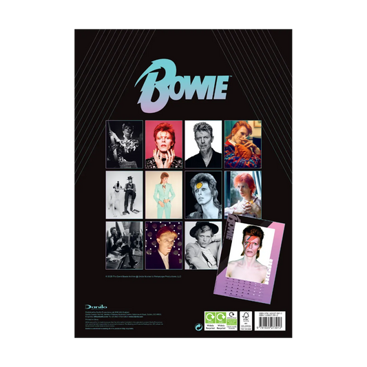 Bowie 16 Month A3 2026 Calendar