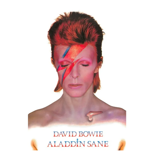David Bowie Aladdin Sane Poster