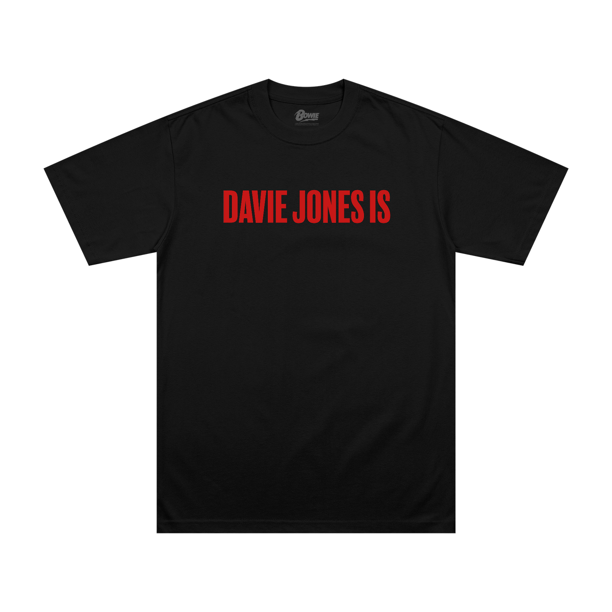 David Bowie Is T-Shirt