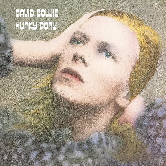 Hunky Dory Canvas Print
