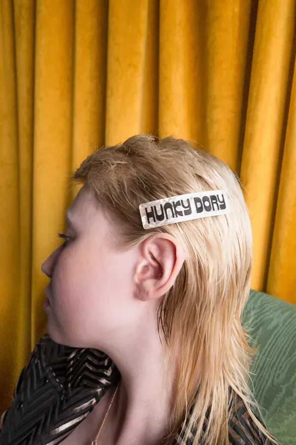 Hunky Dory Hair Clip