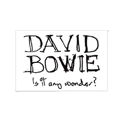 Is It Any Wonder? 3" x 2" Sticker