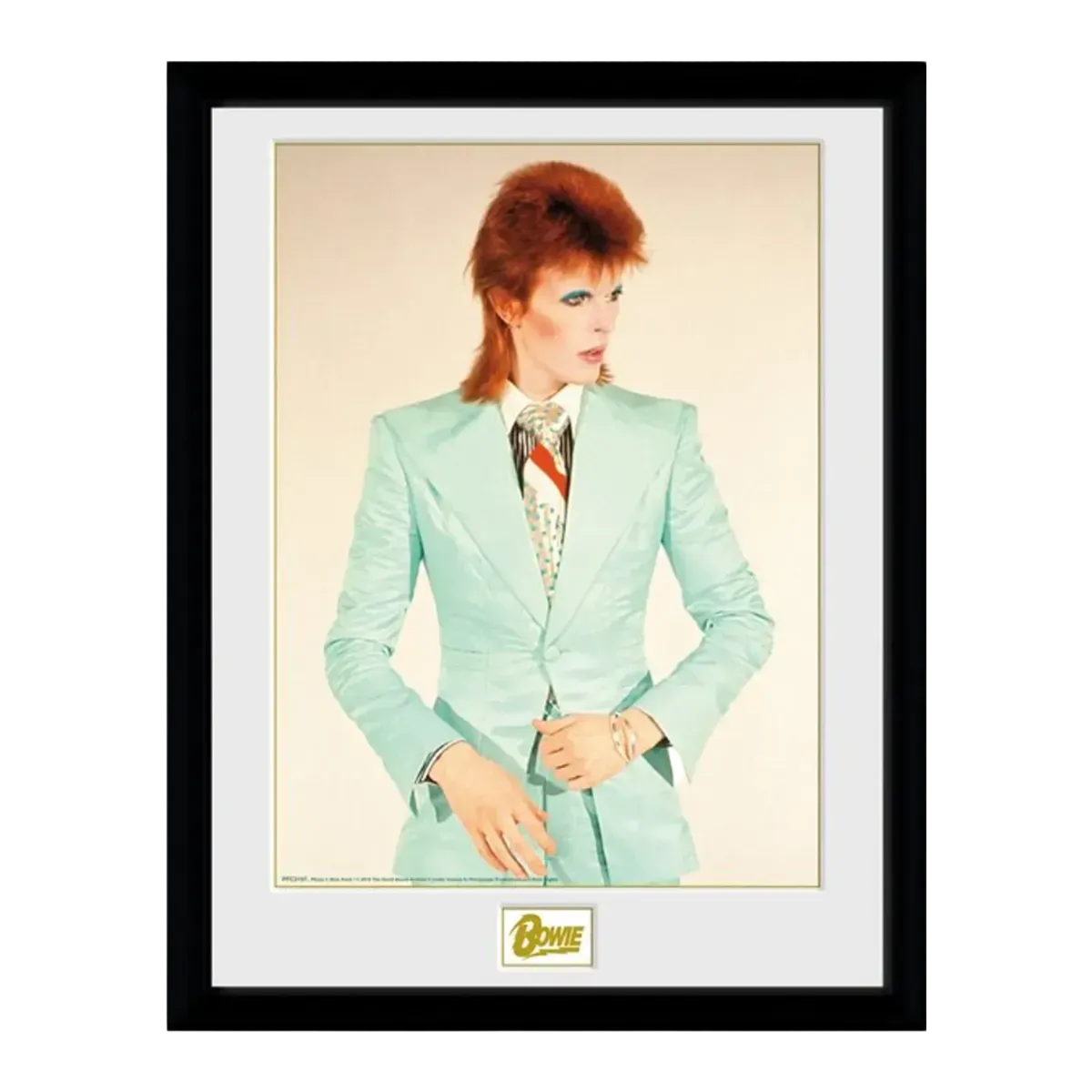 Life on Mars 12" x 16" Framed Print