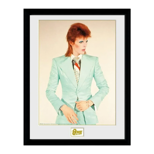 Life on Mars 12" x 16" Framed Print