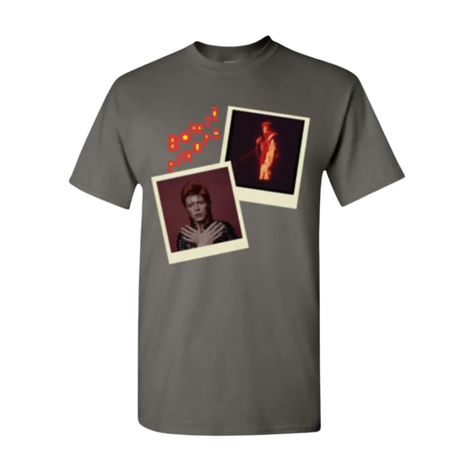 Pin Ups Polaroid Charcoal T-Shirt