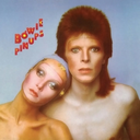 Pinups: Vinyl LP