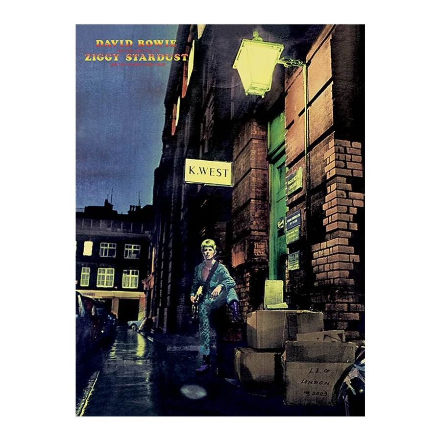 Ziggy Stardust 60 x 80cm Canvas Print